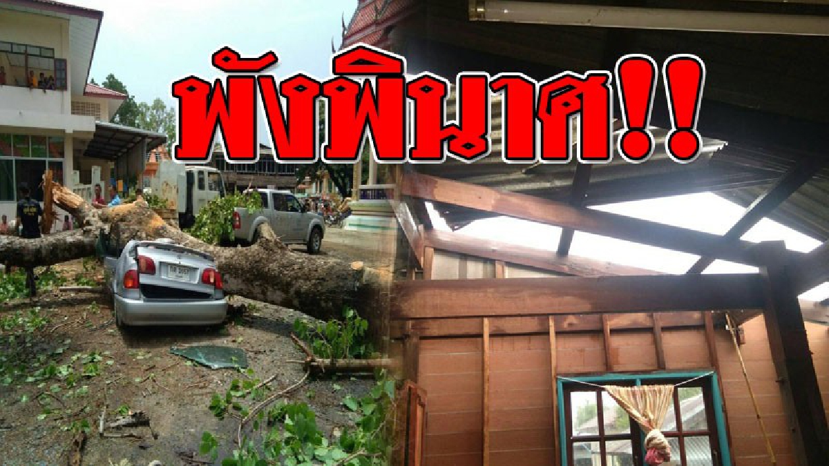 พังเละ ! พายุฤดูร้อนสุดโหด พัดถล่ม ทำเอาต้นโพธิ์ใหญ่หักโค่น หักโค่นลงมาทับรถเก๋ง เสียหายพังยับทั้งคัน..!?