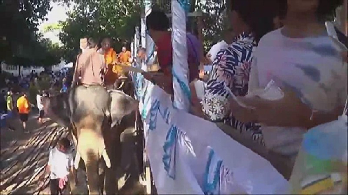 คึกคัก!!! วัดดังอำเภอพิปูน เมืองคอน ทำบุญตักบาตรบนหลังช้าง อุทิศส่วนกุศลให้กับญาติพี่น้องผู้ล่วงลับ