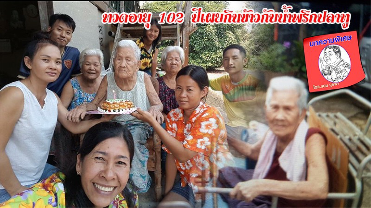 อายุยืนเพราะกินข้าวกับน้ำพริก ปลาทู!?คุณยายทวด วัย 102 ปี ลูก 8 คนๆโตอายุ 83 ปี อายุยืนทั้งครอบครัว เผยเคล็ดลับวันครอบครัว