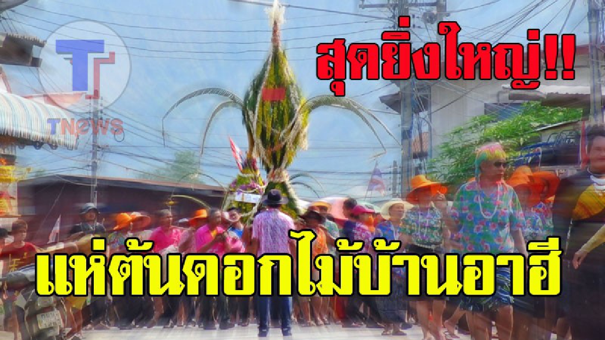 สุดยิ่งใหญ่ ! งานแห่ต้นดอกไม้ที่บ้านอาฮี อ.ท่าลี่ (มีคลิป)