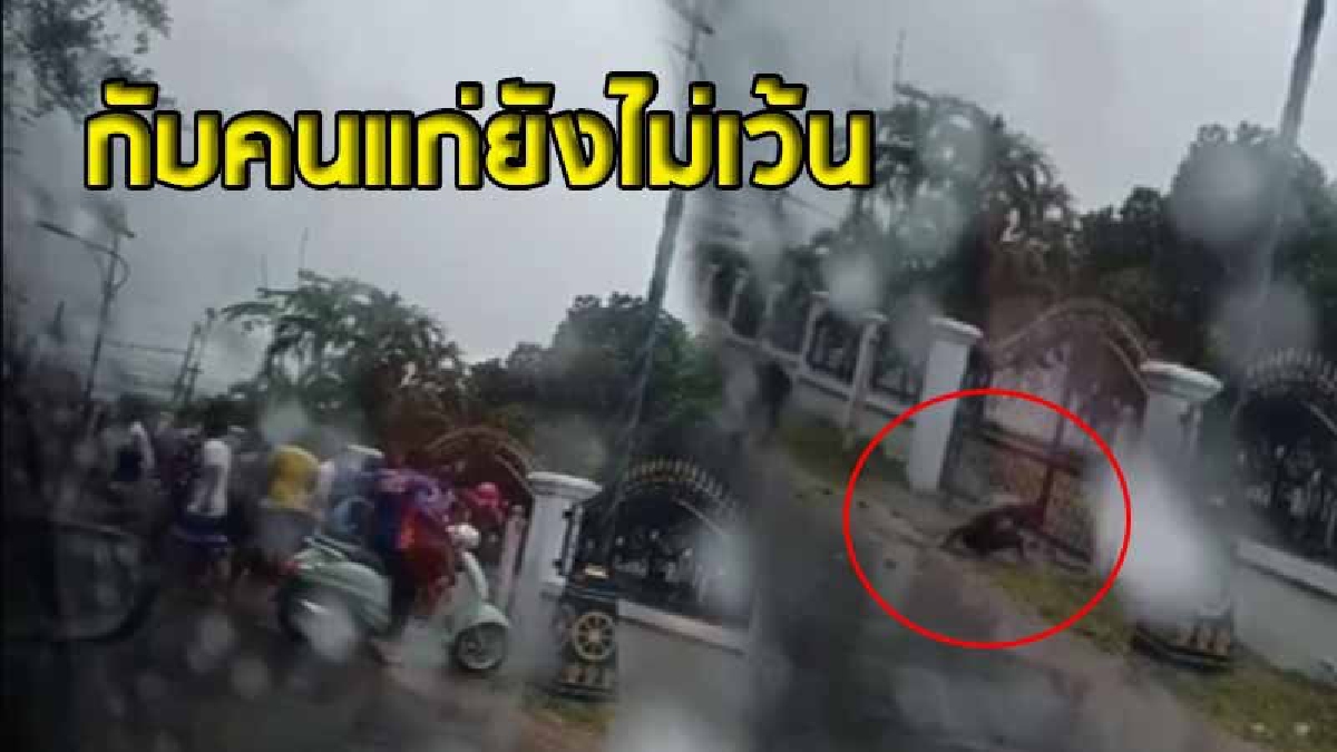 สงกรานต์พัทยาเดือด ! วัยรุ่นนับสิบ รุมทำร้ายคนแก่ยับ ชกต่อย-ฟาดด้วยเก้าอี้ ปาหินใส่ จนนอนกองลงกับพื้น  (ชมคลิป)