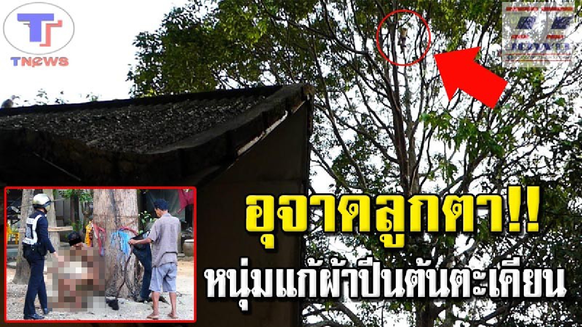 เจ้าที่กระเจิง !! หนุ่มนิรนามคลุ้มคลั่ง แก้ผ้าชีเปลือย ถือมีดสั้น ปีนต้นตะเคียนทองวัดดังจนถึงยอดไม้ ชาวบ้านลุ้นระทึก! หวั่นตกลงมาตาย..