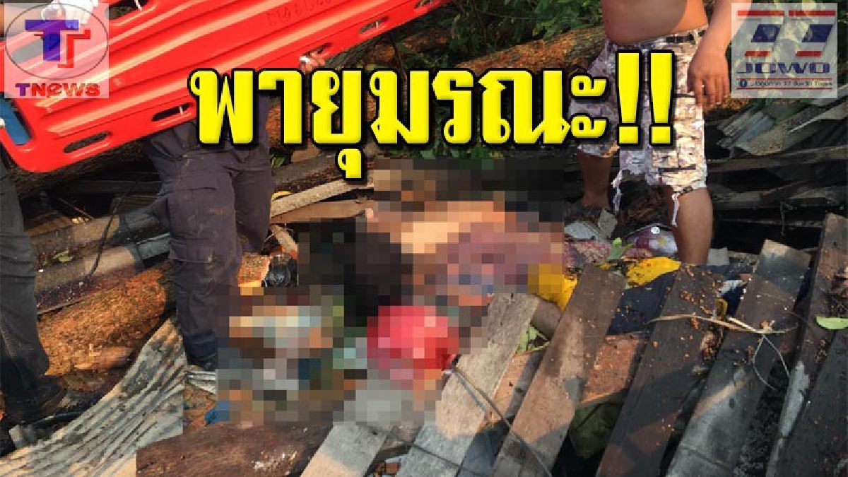 สังเวยอีก 1 ชีวิต !!! พายุฝนถล่มเชียงใหม่ บ้านเรือนได้รับความเสียหาย ซ้ำร้าย! ต้นไม้ล้มทับพ่อเฒ่า อ.หางดง ดับอนาถ 1 ศพ