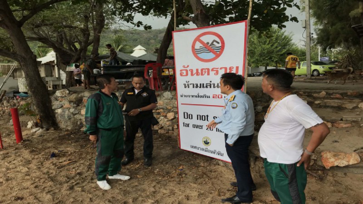 เจอ 2 ฉลามหัวบาตรว่ายน้ำหากินที่หาดทรายน้อยหัวหิน