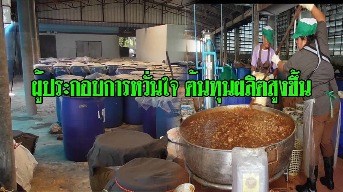 ผู้ประกอบการปลาร้าชัยนาทหนักใจ ค่าใช้จ่ายเกินจะรับ แต่พร้อมปรับตัวผลิตตามมาตรฐาน ก.เกษตร (ชมคลิป)