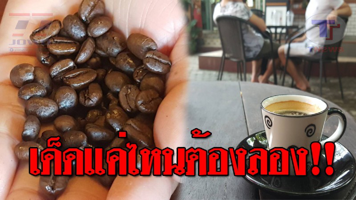 แห่งเดียวในประเทศ..!! กาแฟขี้ช้าง ยังได้รับความนิยม ราคาถึงแก้วละ 1500 บาท เผยต้องเข้าคิวซื้อ เพราะชงวันละ 10 แก้วเท่านั้น!? (ชมคลิป)