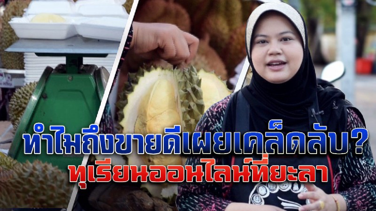 ยะลาทุเรียนหมอนทองออนไลน์ ขายดีเทน้ำเทท่า สัมผัสแค่ปลายนิ้วกินได้ทันที ขายได้วันละไม่ต่ำ300ก.ก.ส่งฟรีทั่ว3 จ.ว.ใต้ ในยุค 4.0 (ชมคลิป)