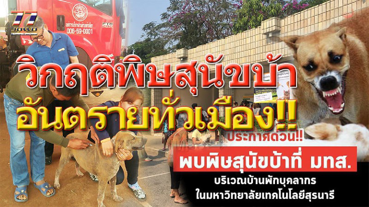 โรคพิษสุนัขบ้าระบาดหนัก..!! ประกาศเตือนภัย คนเขตเมืองระวังไว้ ล่าสุดตรวจพบอีก 22 หมู่บ้าน พบปัญหาใหญ่...ขาดวัคซีนป้องกันโรค!? (ชมคลิป)
