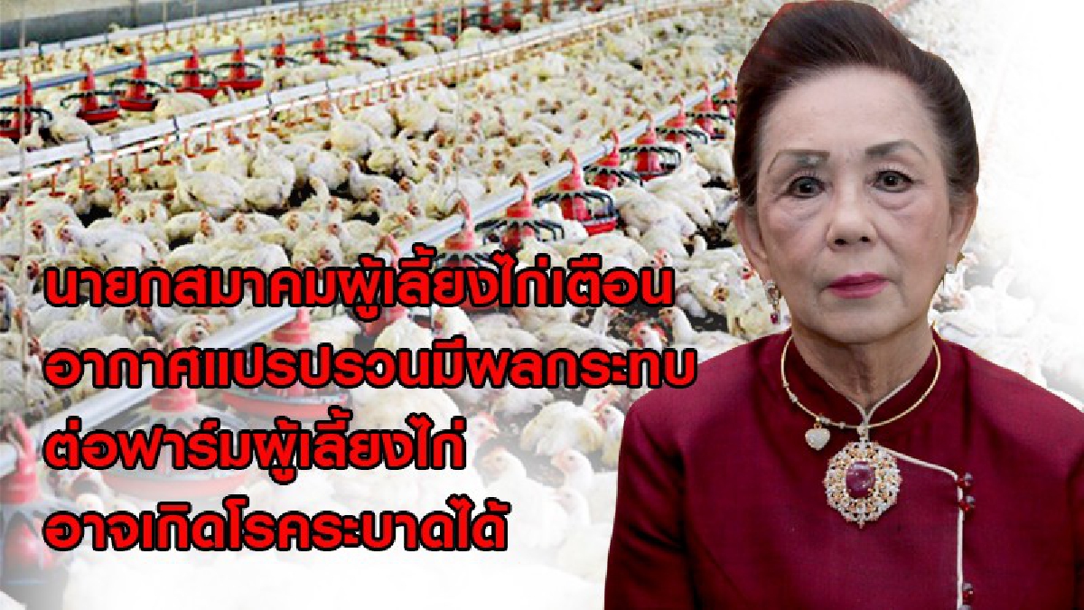 นายกสมาคมผู้เลี้ยงไก่แห่งประเทศไทยในพระบรมราชูปถัมภ์  เตือนเกษตรกร "ระมัดระวังอากาศแปรปรวนกระทบกับการเลี้ยงสัตว์" (มีคลิป)