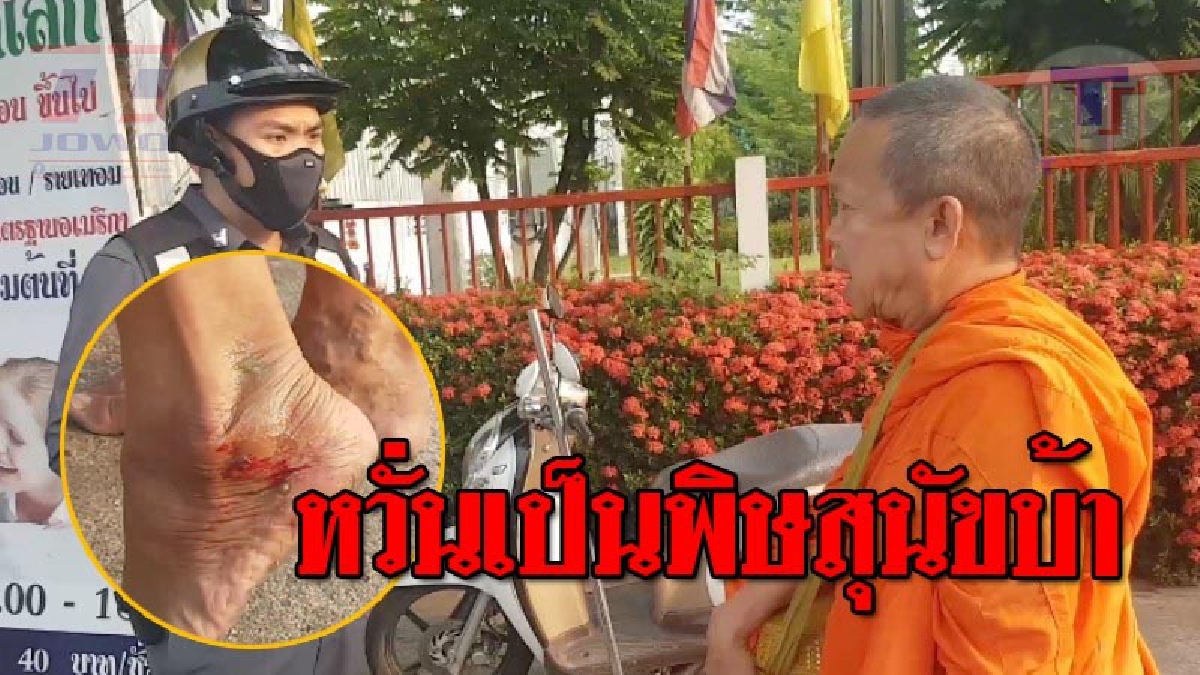 อย่าปล่อยให้หมามันกัด..!! หลวงพ่อหวั่นใจ หลังเดินบิณฑบาตตอนเช้า เจอเจ้าตูบพันธุ์พื้นเมือง กัดเข้าให้ที่ขา กลัวจะเป็นโรคพิษสุนัขบ้า!? (คลิป)