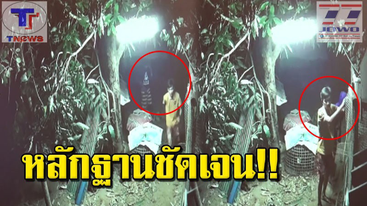 คราวนี้เอ็งไม่รอดแน่ !!! หนุ่มใหญ่สุดทน โจรขยันลักไก่ชน 4 ครั้งในรอบ 1 เดือน ก่อนวงจรปิดจับภาพได้ เตรียมลากคอเข้าคุก (คลิป)