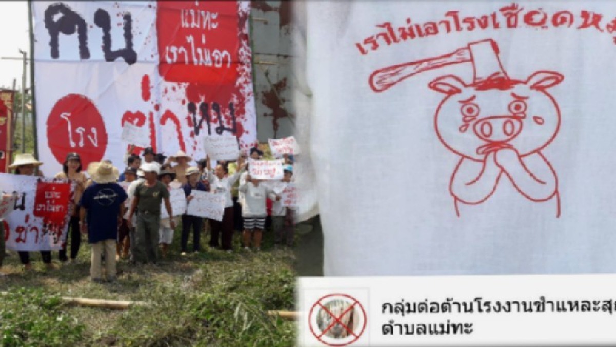 กลุ่มชาวบ้าน ต.แม่ทะ รวมตัวติดตั้งป้ายและตะโกนกู่ร้อง เพื่อคัดค้านไม่ให้สร้างโรงเชือดสุกรของบริษัทยักษ์ใหญ่ หวั่นผลกระทบ (ชมคลิป)