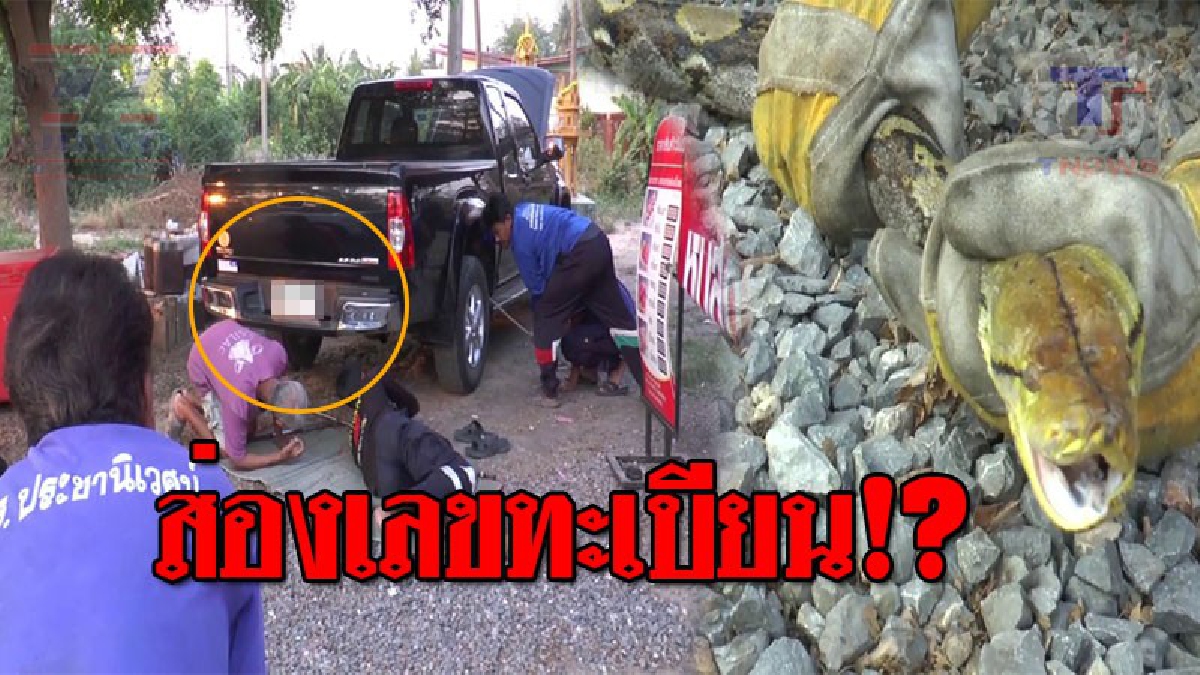 สู้กับโคตรงู..!! หนุ่มวัย25 ผงะหลังเปิดฝากระโปรงรถ เจอ "เหลือมยักษ์" ยาว 4 เมตร อยู่ในห้องเครื่อง กู้ภัยชักเย่อสู้นานว่าครึ่ง ชม.!? (ชมคลิป)