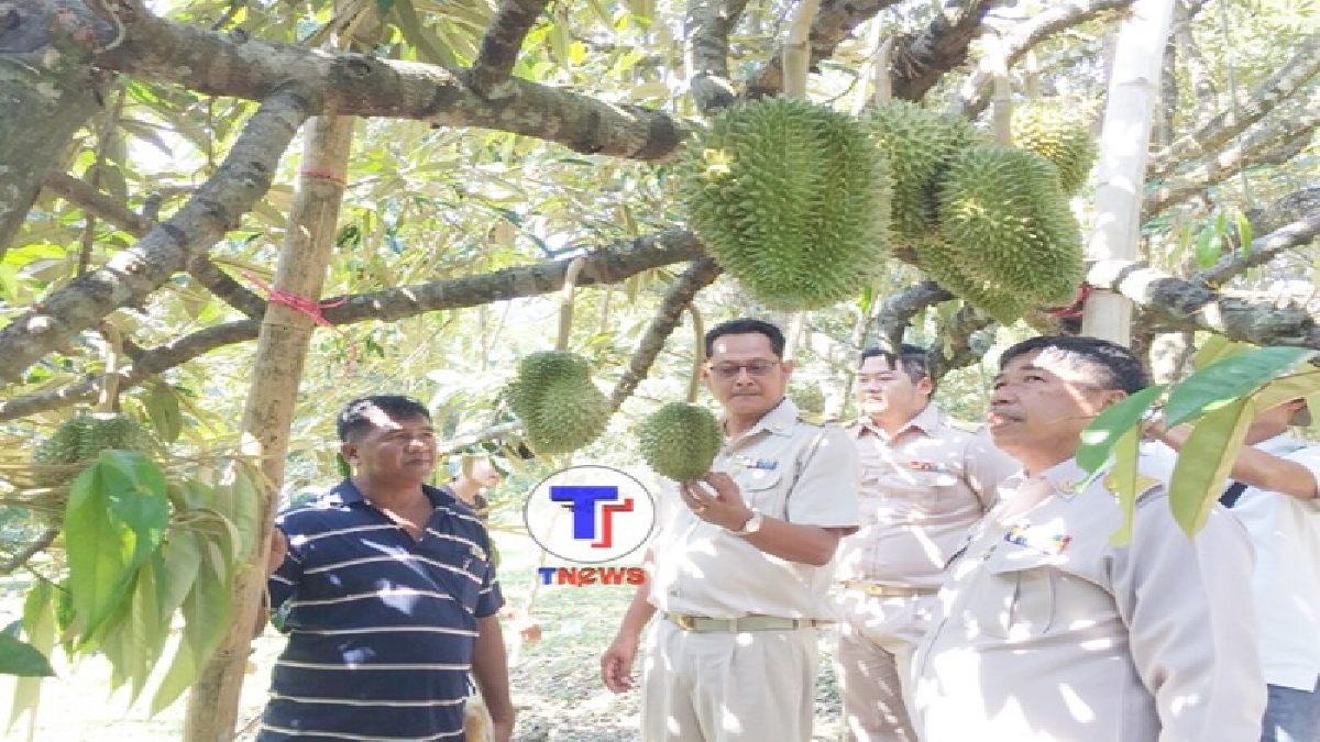 ของดี..ของอร่อย ! เกษตรกรเตรียมพัฒนาคุณภาพ "ทุเรียน" พร้อมที่ส่งออกไปตีตลาดโลก และการันตีความอร่อยของทุเรียน จ.ระยอง..!?