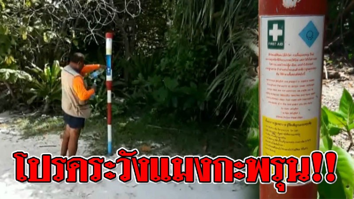 เตือนไว้..จงฟัง ! จนท.อุทยานฯทางทะเล แจ้งเตือนระวังอันตรายจาก "แมงกะพรุน"..!? (ชมคลิป)