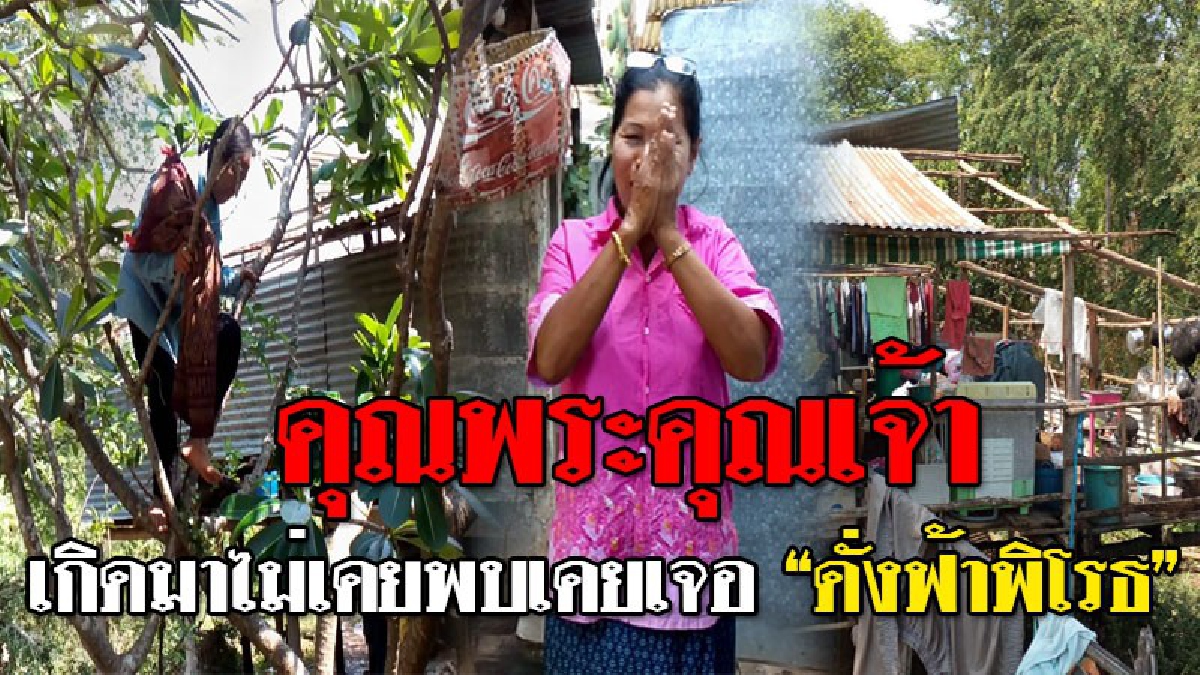 #เกิดมาไม่เคยพบเคยเจอ ! พายุพัดถล่มรุนแรง ยายเฒ่าหวิดโดนสังกะสีปาดคอ ส่วนเพื่อนบ้านปีนหนีขึ้นต้นไม้ อีกรายยกมือไหว้บ้าน "ขอให้ปลดภัย"