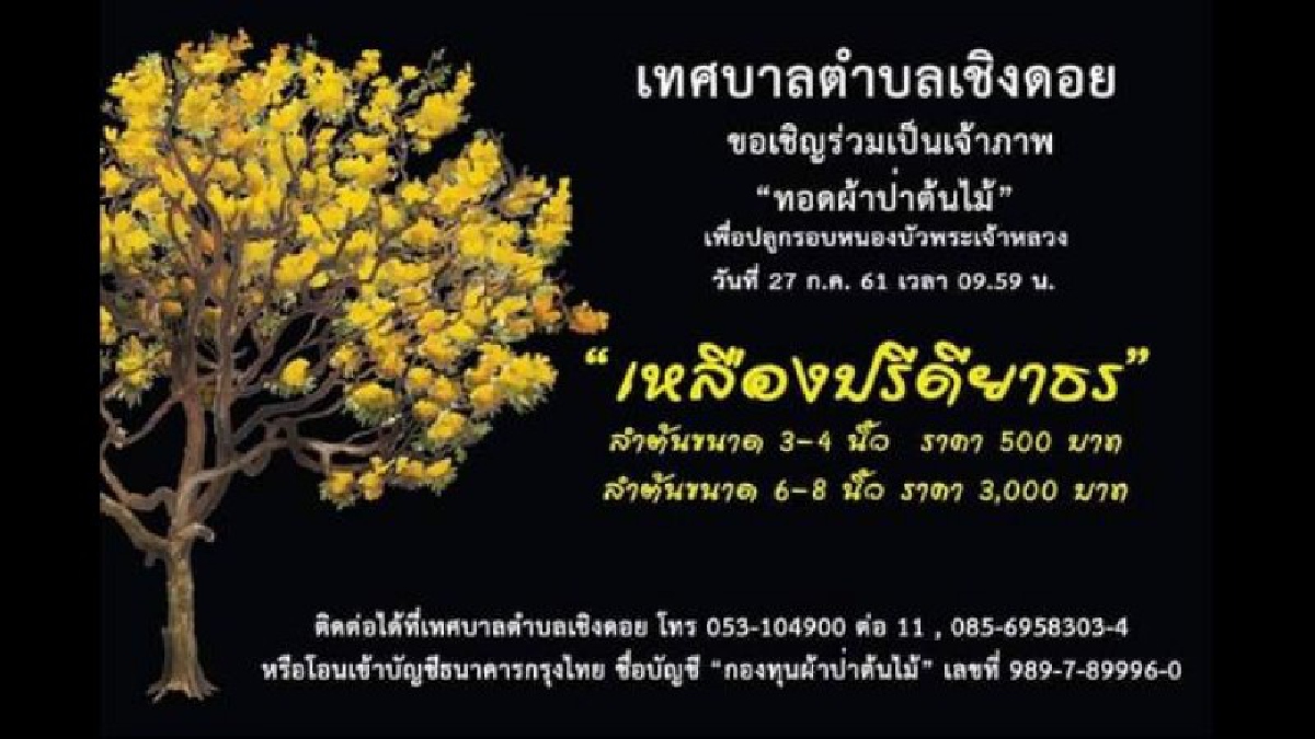 เล็กๆไม่ ใหญ่ๆทำ เทศบาลตำบลเชิงดอย อำเภอดอยสะเก็ด จังหวัดเชียงใหม่ ผุดโครงการ โลกสวยด้วยมือเรา (มีคลิป)