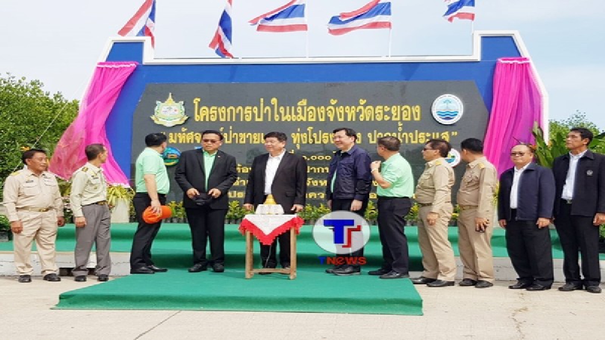 รมว.ทรัพยากรธรรมชาติและสิ่งแวดล้อม เปิดโครงการ มหัศจรรย์ป่าชายเลนทุ่งโปรงทอง ปากน้ำประแส