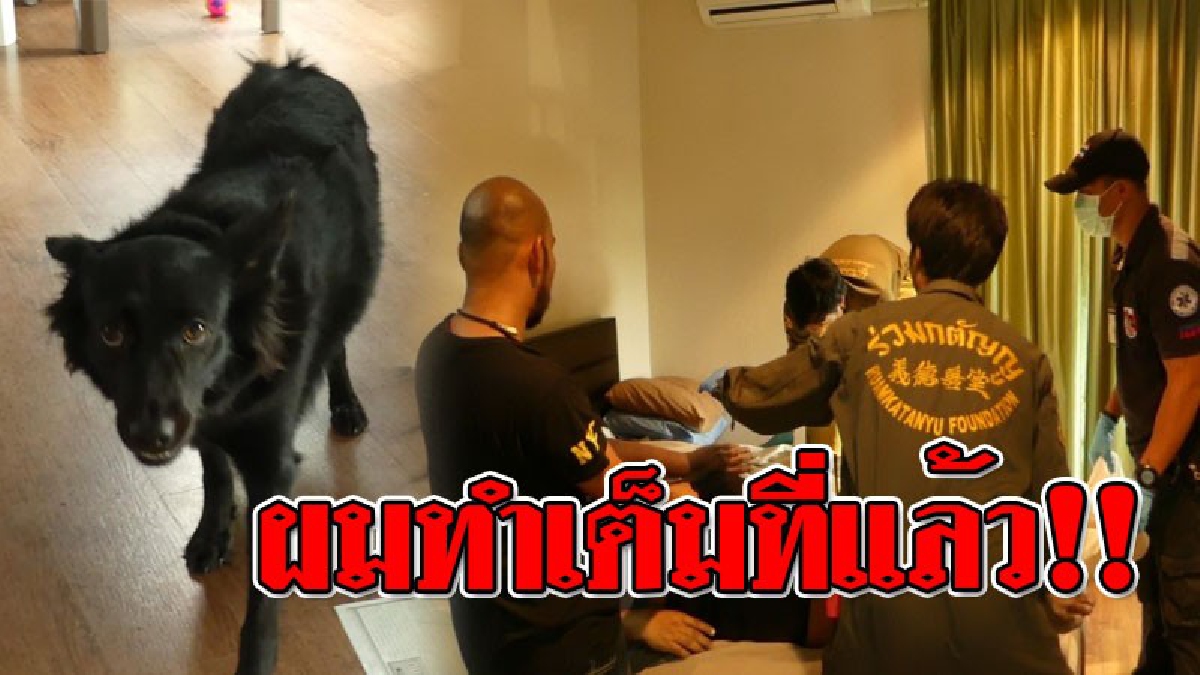 ช่วยเจ้านายผมด้วย ! พี่สาวได้ยินหมาเห่าตลอดเวลา จึงขึ้นมาดูแทบช็อก! น้องสาวกลายเป็น "ศพ" คาห้อง เผยมี "ยาลดความอ้วน" ตกอยู่ข้างคนตาย