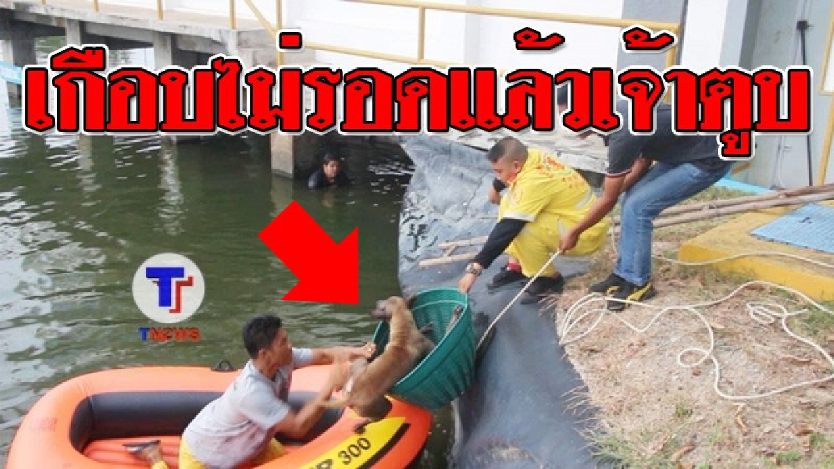 ไม่ได้พี่ผมคงจมน้ำ!? หนุ่มประปา กระโจนโดดลงน้ำ เพื่อช่วย ชีวิต "หมาจรจัด" ที่กำลังตกน้ำ