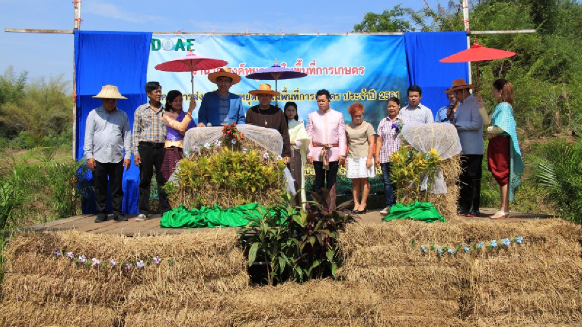 จังหวัดปราจีนบุรี !! รณรงค์ลดการเผาตอซังข้าวในท้องถิ่น