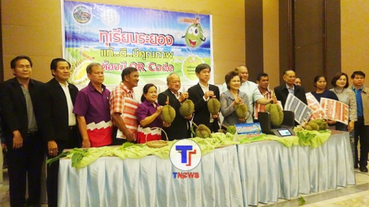 ระยอง!! ติดคิวอาร์โค้ดทุเรียนเพื่อให้ทราบถึงต้นตอแหล่งกำเนิดทุเรียน