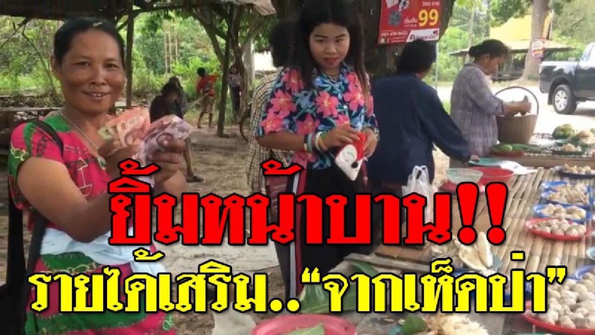 ในเรื่องร้าย..ยังมีเรื่องดี ! ชาวบ้านออกเก็บเห็ดป่าขาย เผยยิ่งฝนถล่มหนัก เห็ดยิ่งชุม!? งานนี้เตรียมกระเป๋าตุงกันถ้วนหน้า..!?? (ชมคลิป)