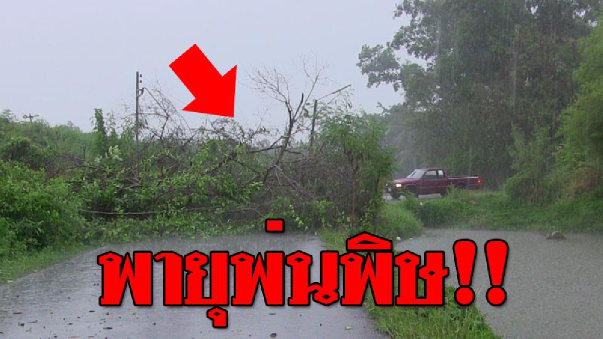 ฟ้าดินพิโรธ ! พายุโหมซัดกระหน่ำ "ต้นไม้ใหญ่" โค่นขวางถนน เตือน..ระวัง! เส้นลัดเข้า-ออกตัวเมืองหาดใหญ่ รถผ่านไม่ได้!?? (ชมคลิป)