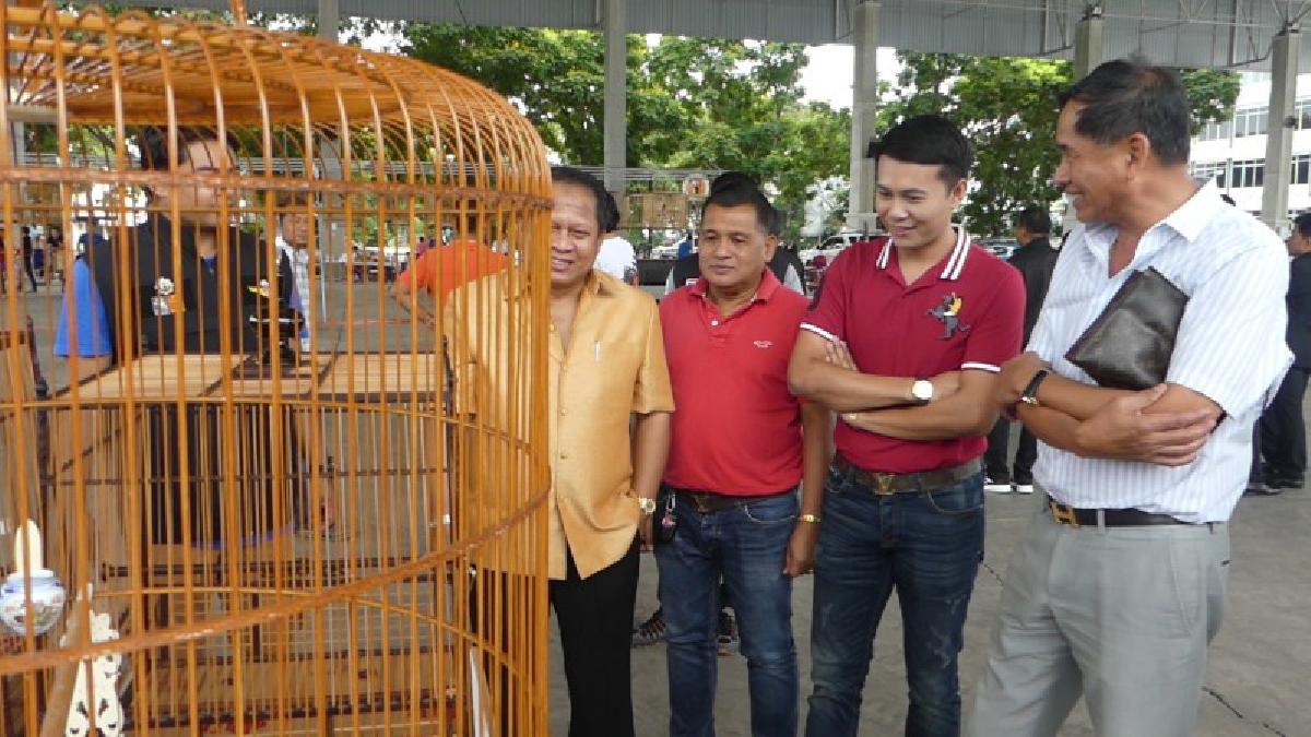 ปทุมธานี ผู้เลี้ยงนกร่วมแข่งขันนกกางเขนดงการกุศลชิงถ้วยเกียรติยศ10ปีตำนานบินหลาไทย