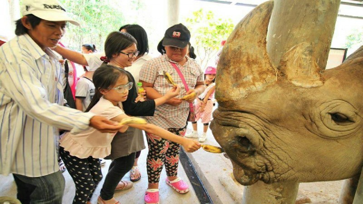 ไนท์ซาฟารีปลูกปัญญาสร้างองค์ความรู้อย่างยั่งยืนแก่เยาวชนการศึกษาทรัพยากรธรรมชาติและสัตว์ป่าในสถานที่จริง เรียนรู้ชีวิตสัตว์ป่าอย่างใกล้ชิด