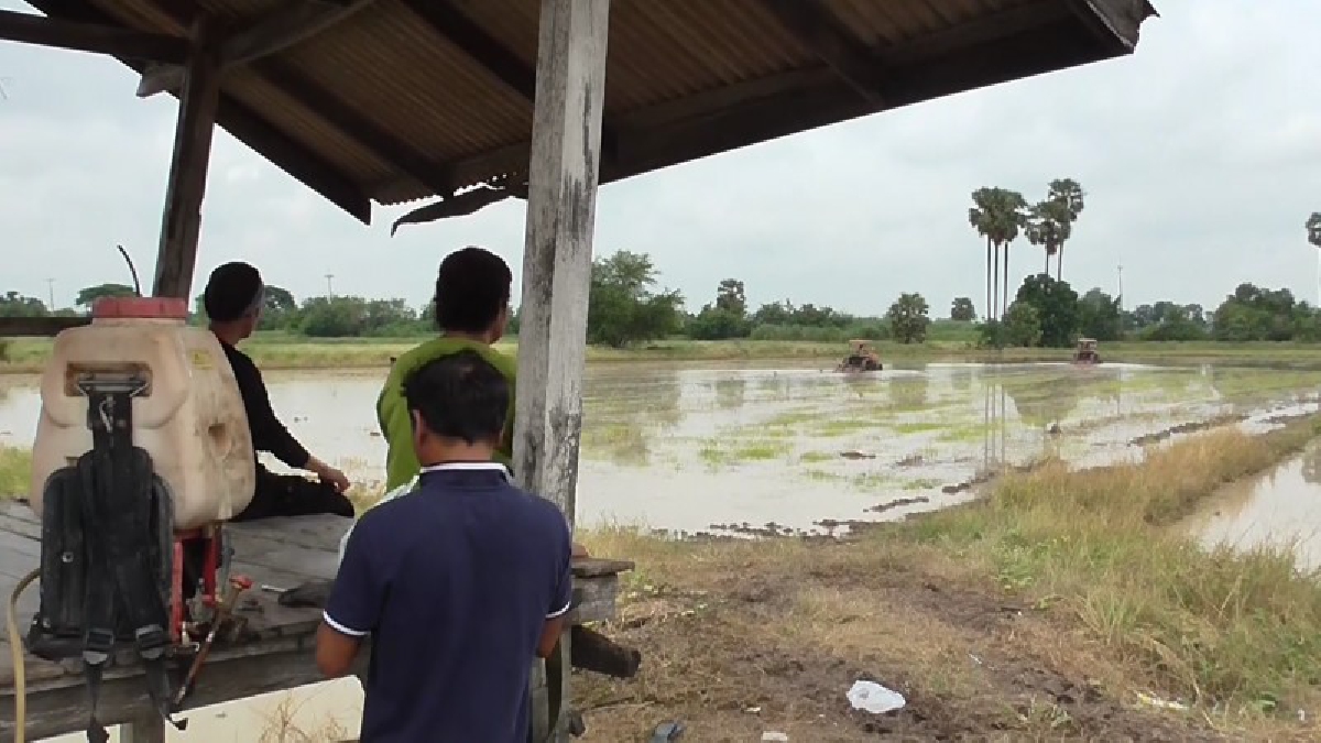 ชาวนาเร่งปรับพื้นนารอชลประทานหลังประกาศปล่อยน้ำให้ลุ่มเจ้าพระยาทำนาวันนี้