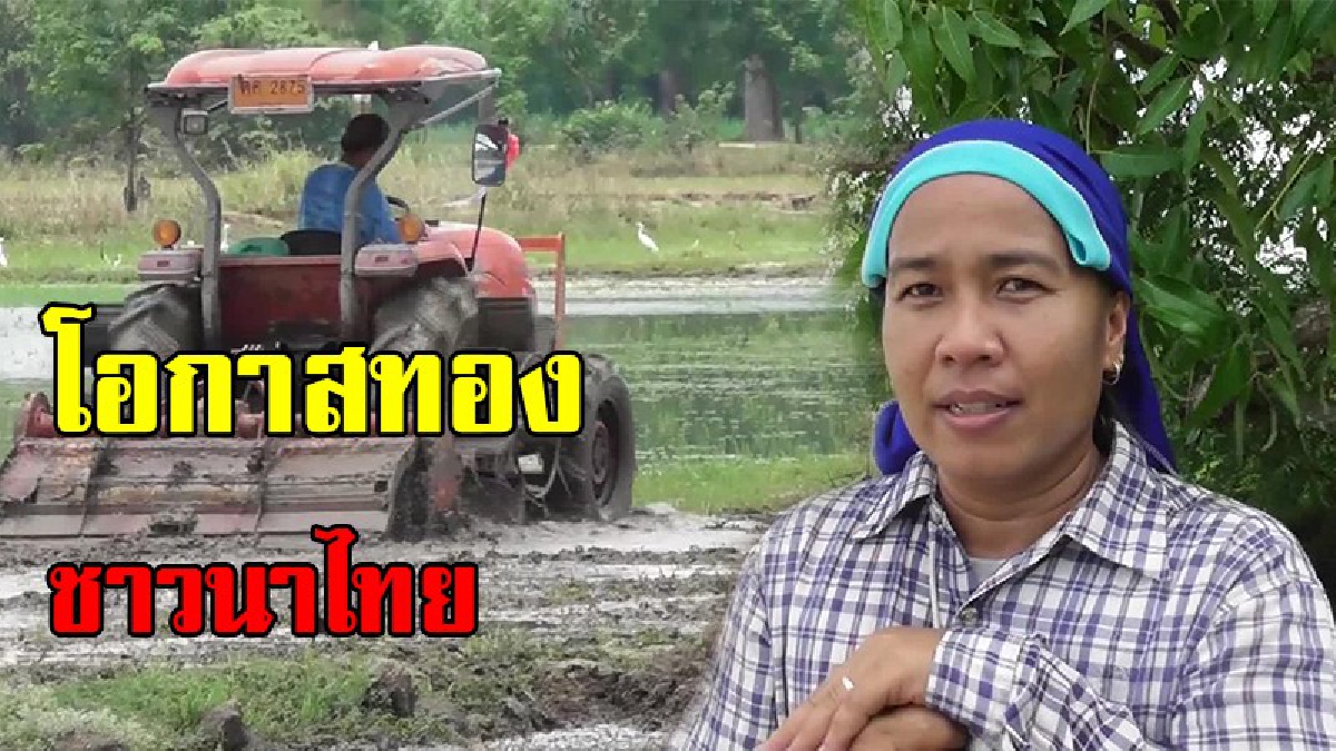 ชาวนาได้เฮ !! อานิสงส์พายุฤดูร้อน น้ำท่าเต็มทุ่ง ชาวนาชัยนาทเร่งสูบน้ำไถนาเตรียมดิน รอหว่านข้าว วันพืชมงคล