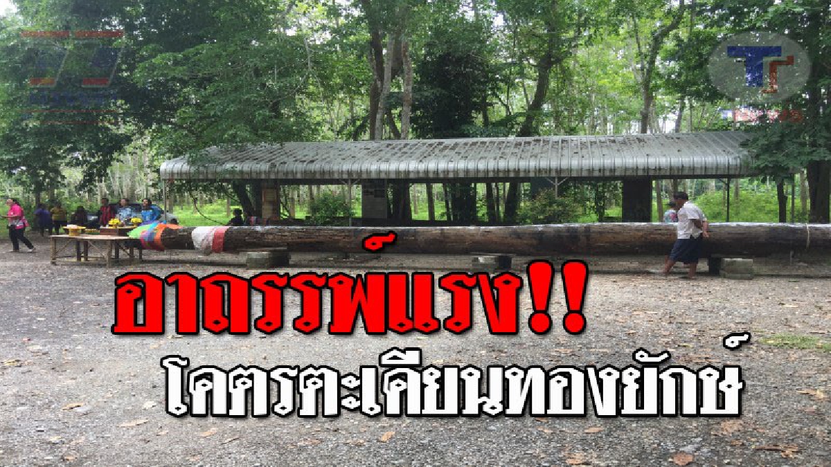 ตะลึงโคตรตะเคียน..!! ชาวบ้านแตกฮือ พบไม้ตะเคียนทองยักษ์โบราณ ยาวกว่า 13 เมตร ถูกฝังดินมากว่า 400 ปี เชื่อมีอาถรรพ์!? (ชมคลิป)