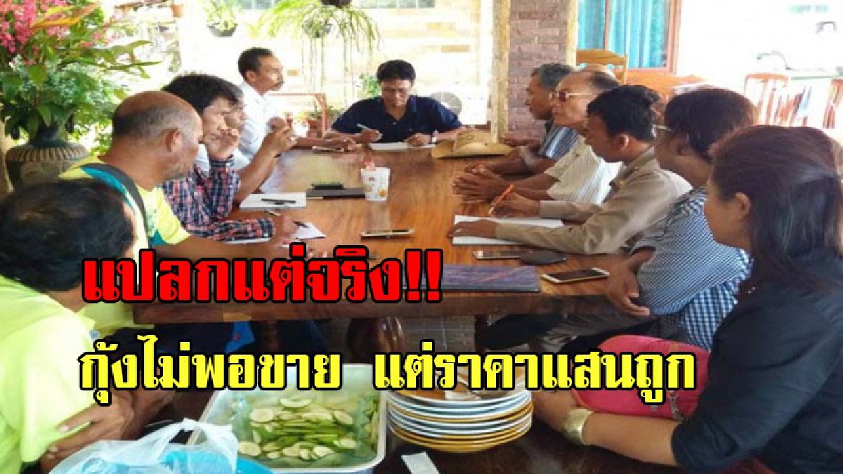 อย่างนี้ก็มีด้วย !! จัดงาน“วันกุ้งราคาถูกที่สุดในโลก”เผยกุ้งไทยไม่พอส่งออก แต่ราคาตกต่ำเป็นประวัติการณ์