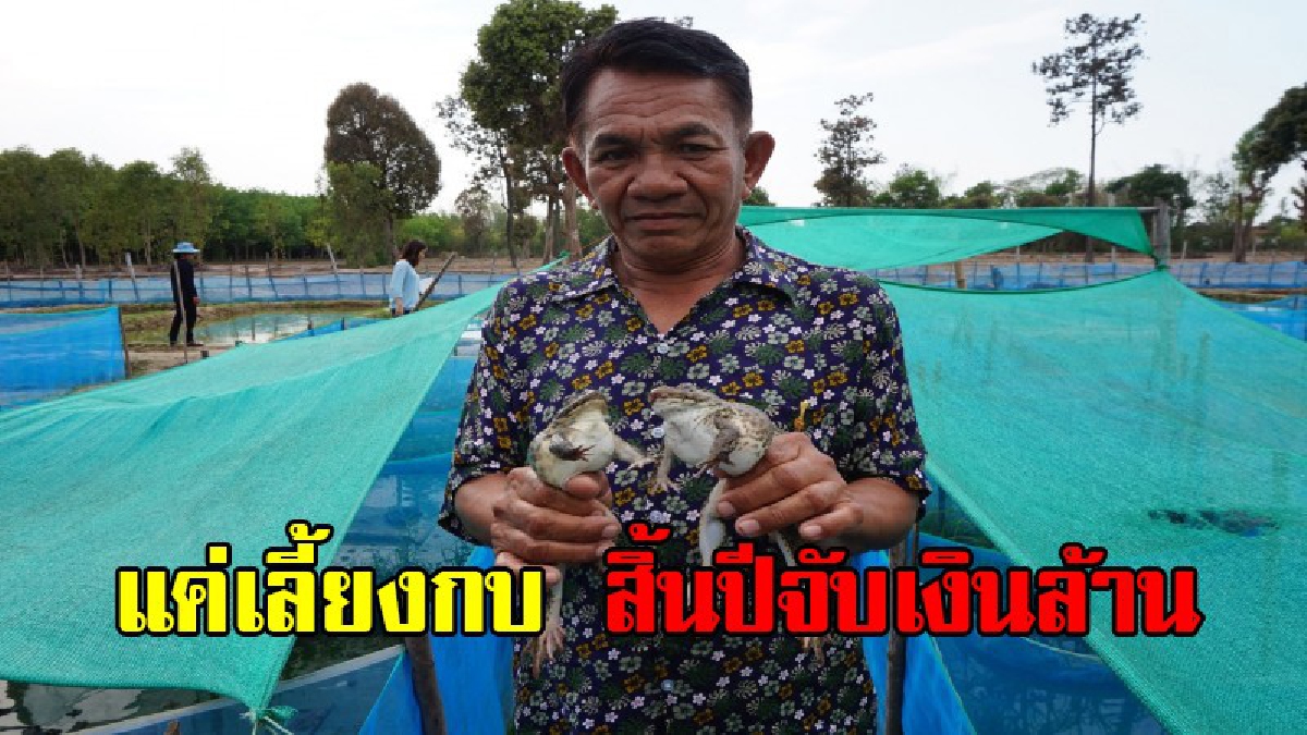 เกษตรกรก็เป็นเศรษฐีได้ !! ชาวนาพลิกวิกฤตหนีแล้ง ขายลูกอ๊อดโกยเงินเดือนละแสน ต้นทุนต่ำกำไรงาม สิ้นปีจับเงินหลายล้านบาท