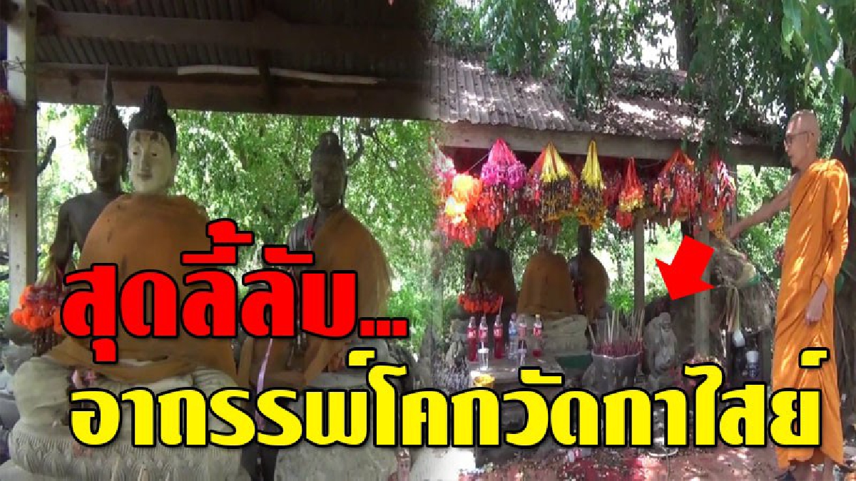 อาถรรพ์แรง..ไม่เชื่ออย่าลบหลู่ "ความเฮี้ยน" โคกวัดกาไสย์ ชาวบ้านเล่าขานหนาหู? ใครหยิบสองก้อนนี้ไป ต้องรีบมาคืนทันที!? (คลิป)