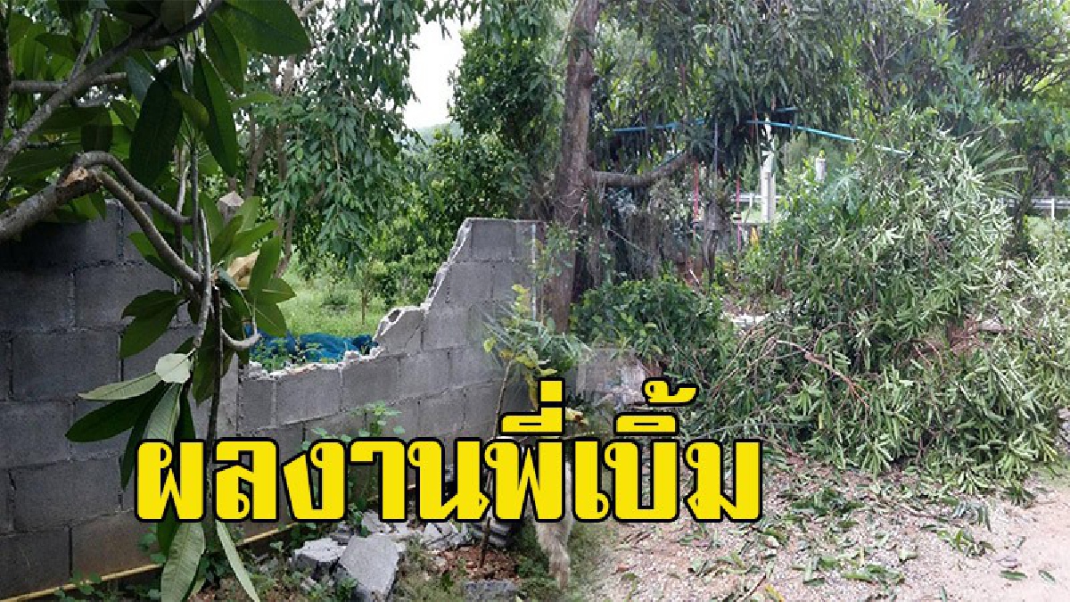 สุดผวา !! ช้างป่าสลักพระ บุกสวน กำแพงบ้าน ทรัพย์สิน สวนผลไม้ พังยับ โอดทุกวันนอนหลับไม่เต็มตา