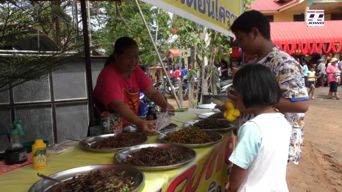 แซ่บน้ำลายสอ..!! สุดยอดแมลงทอดสมุนไพร กว่า 10 ชนิด เผยเป็นที่นิยมกับ ผู้ที่ชื่นชอบและรักสุขภาพ แถมสร้างรายได้สุดปัง!? (มีคลิป)