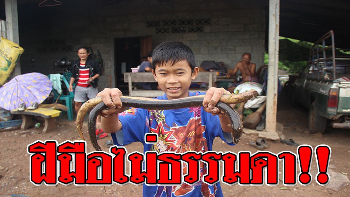 มือฉมังกำหราบปลาไหล!? หนูน้อยวัย 11 ขวบ ฝีมือเก่งสุดในหมู่บ้าน เป็นพรานล่าปลาไหล ใช้เวลาว่างนำอีจู้ดักจับ ได้มาเพียบ!!