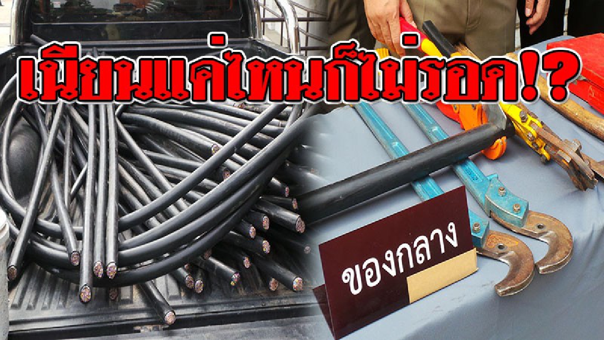 หัวขโมยมือฉมัง ทำเนียนไปตัดต้นไม้ ก่อนลักลอบตัดสาย "เคเบิ้ล" เปิดประวัติสุดอึ้ง! เคยเป็นช่างเดินสายไฟมาก่อน ไม่แปลกที่จะชำนาญ..!?