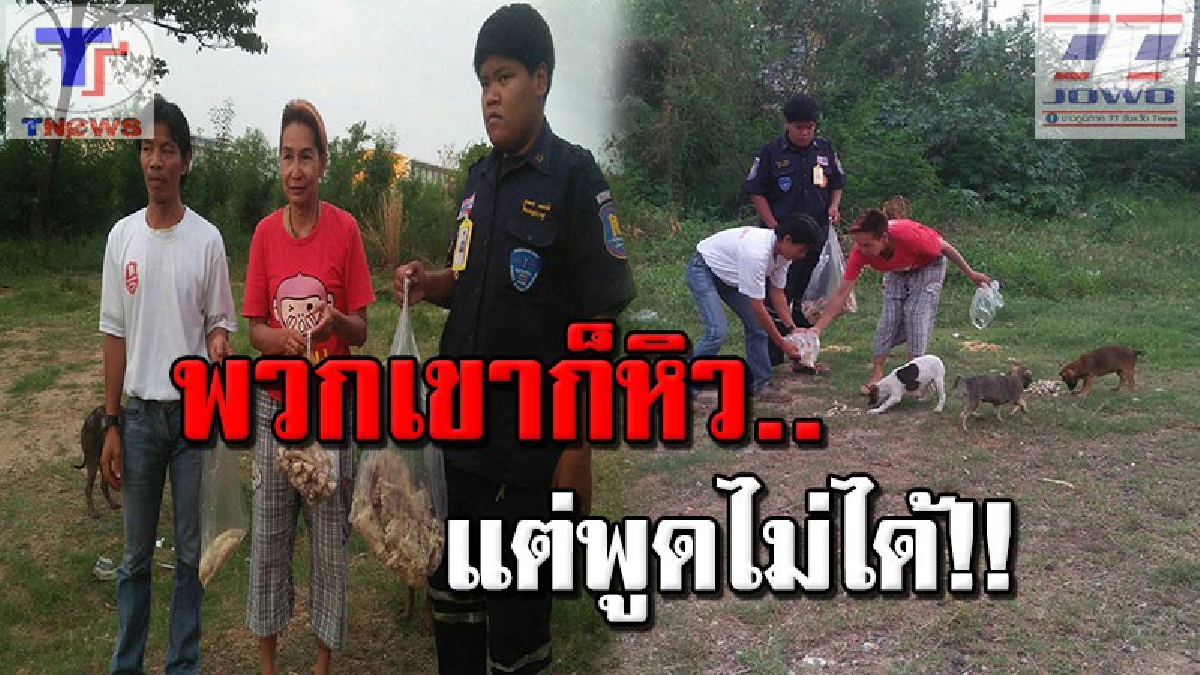 เชิดชูคนดี กู้ภัยสาวโคราช ใจบุญให้อาหารสุนัขหลายร้อยตัวกว่า 10 ปี วอนหน่วยงานดูแลอย่างจริงจัง (คลิป)