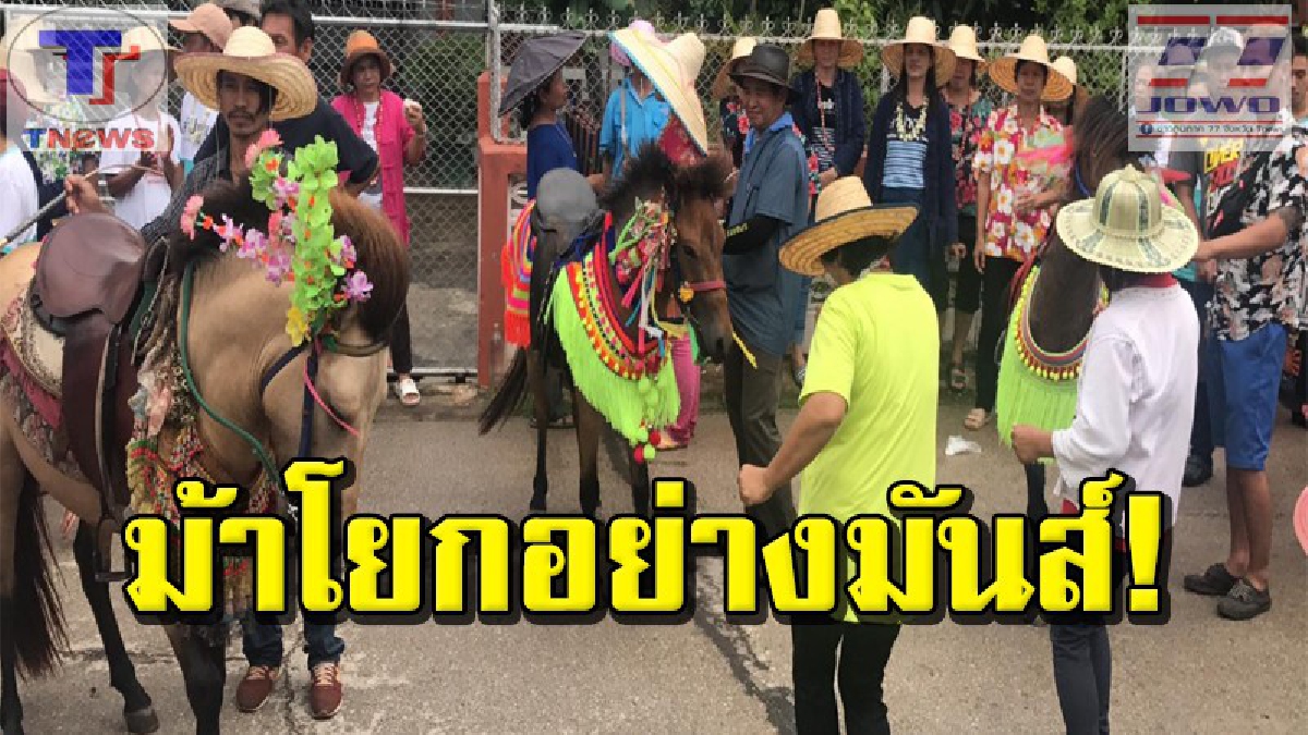 #สนุกสุดเหวี่ยง..ตะลึง! เจ้าม้าน้อยคึกคัก โชว์สเต็ปแดนซ์ตามจังหวะเพลง ในขบวนแห่ลูกแก้วสอดตามบ้าน งานนี้! ใครได้เห็นเป็นต้องยิ้มตาม..(คลิป)