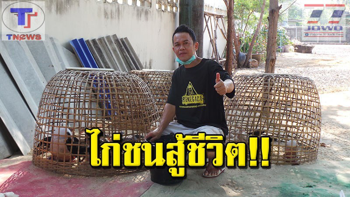 สุดยอดคนสู้ชีวิต !!! จากหนุ่มคนงานก่อสร้าง รายได้วันละ 100 ไอเดียบรรเจิด ผันตัวมา "เพาะไก่ชนเงินล้าน" ขายสร้างรายได้กว่า 3 แสนบาท (คลิป)