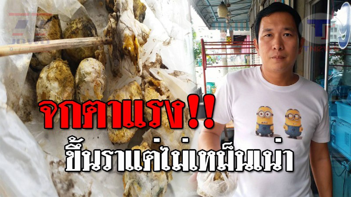 ลำไส้ไม่พังก็บุญแล้ว..!! หนุ่มสุดงง ซื้อไข่นกกระทามาทอดกิน พอกัดไปคำแรกถึงกับรู้เรื่อง โดนคนขายหลอกลวงซะแล้ว!? #จกตาแรงมาก (ชมคลิป)