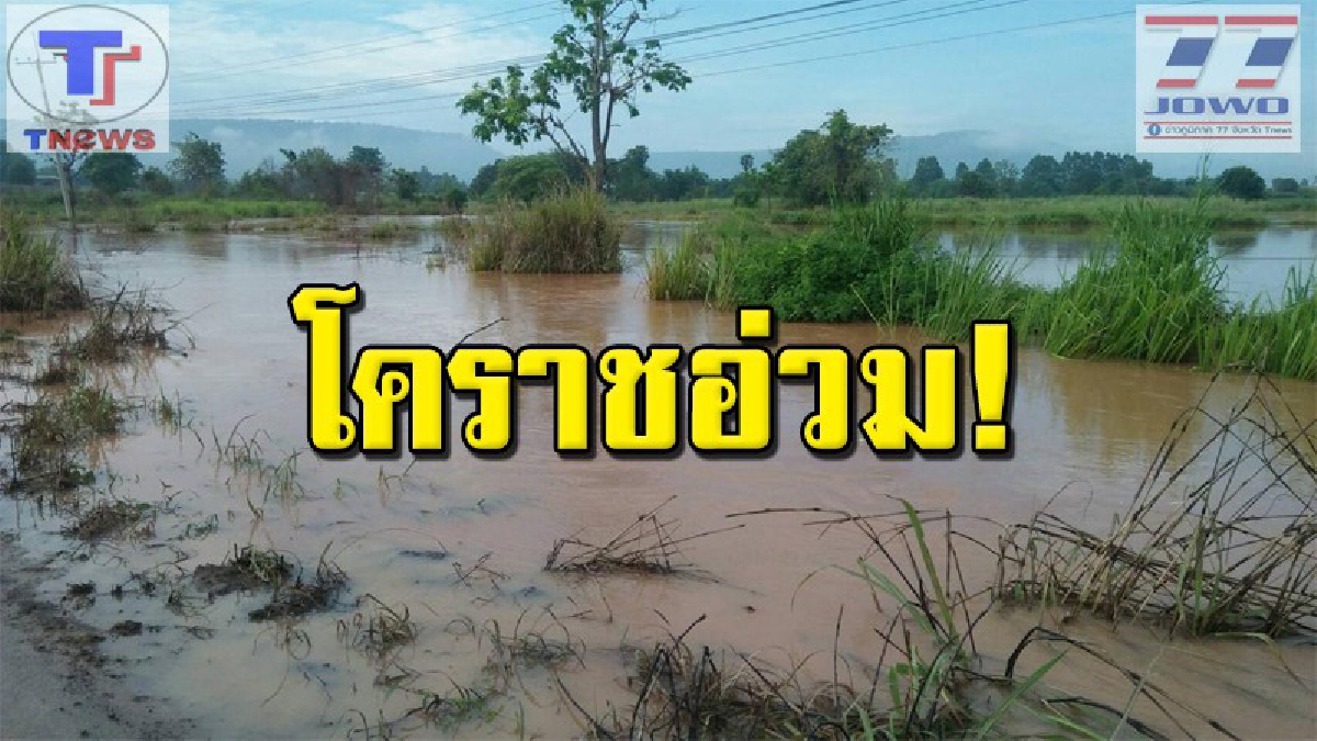 ฤทธิ์พายุฝนตกหนัก !!! เกษตรกรชาวไร่อ้อยน้ำตาตก ลำต้นอ่อนที่กำลังงอกงามถูกน้ำป่าหลากท่วมเสียหายกว่า 10 ไร่ (คลิป)