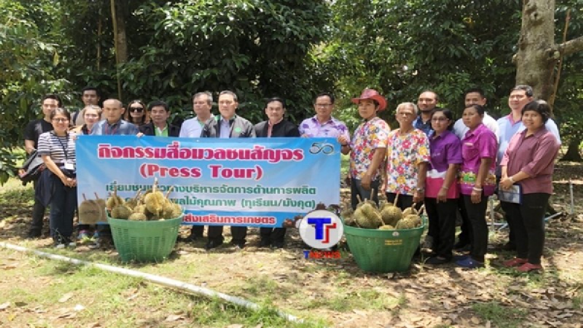เจอของจริง !! กรมส่งเสริมการเกษตร ลุยพื้นที่สวนทุเรียนระยอง พบชาวสวนรวมกลุ่มเกษตรแปลงใหญ่ กำหนดราคาเองไม่ง้อพ่อค้า
