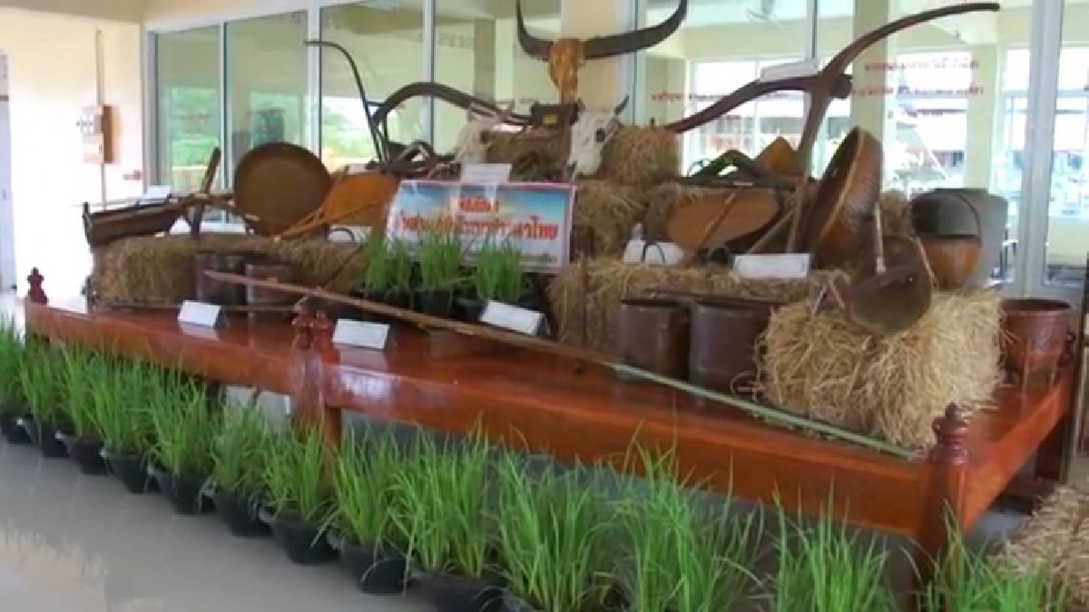 โคราชเตรียมยกระดับพิพิธภัณฑ์สืบสานภูมิปัญญาชาวนาไทย เป็นแหล่งท่องเที่ยวแห่งใหม่ (มีคลิป)