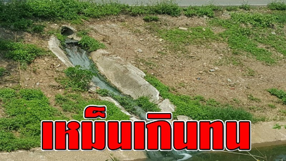 โคตรจะเน่า ! ชาวบ้านสุดทน ต้องดมกลิ่นน้ำเน่าจากตลาดสด ที่ไหลมาขัง จนส่งกลิ่นสุดน่าอาเจียน วอนหน่วยงานที่เกี่ยวข้อง เข้ามาแก้ไขด่วน!??