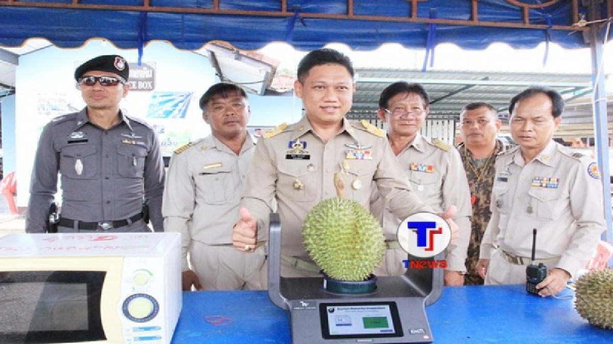 ฝ่ายปกครองอำเภอแกลง จ.ระยอง!! ตั้งจุดตรวจสกัดจับทุเรียนอ่อน ป้องกันปราบปรามชาวสวน-พ่อค้าหัวใสตัดทุเรียนอ่อนออกสู่ตลาด (มีคลิป)