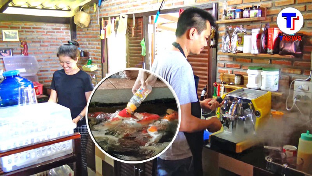 คู่รักนักปั่น บ๊ายบ่ายเมืองกรุง ตัดสินใจกลับบ้านที่เชียงคาน เปิดร้านกาแฟ โดยเลี้ยงปลาคราฟในบ่อดิน เพื่อดึงดูดคนเข้าร้าน (มีคลิป)